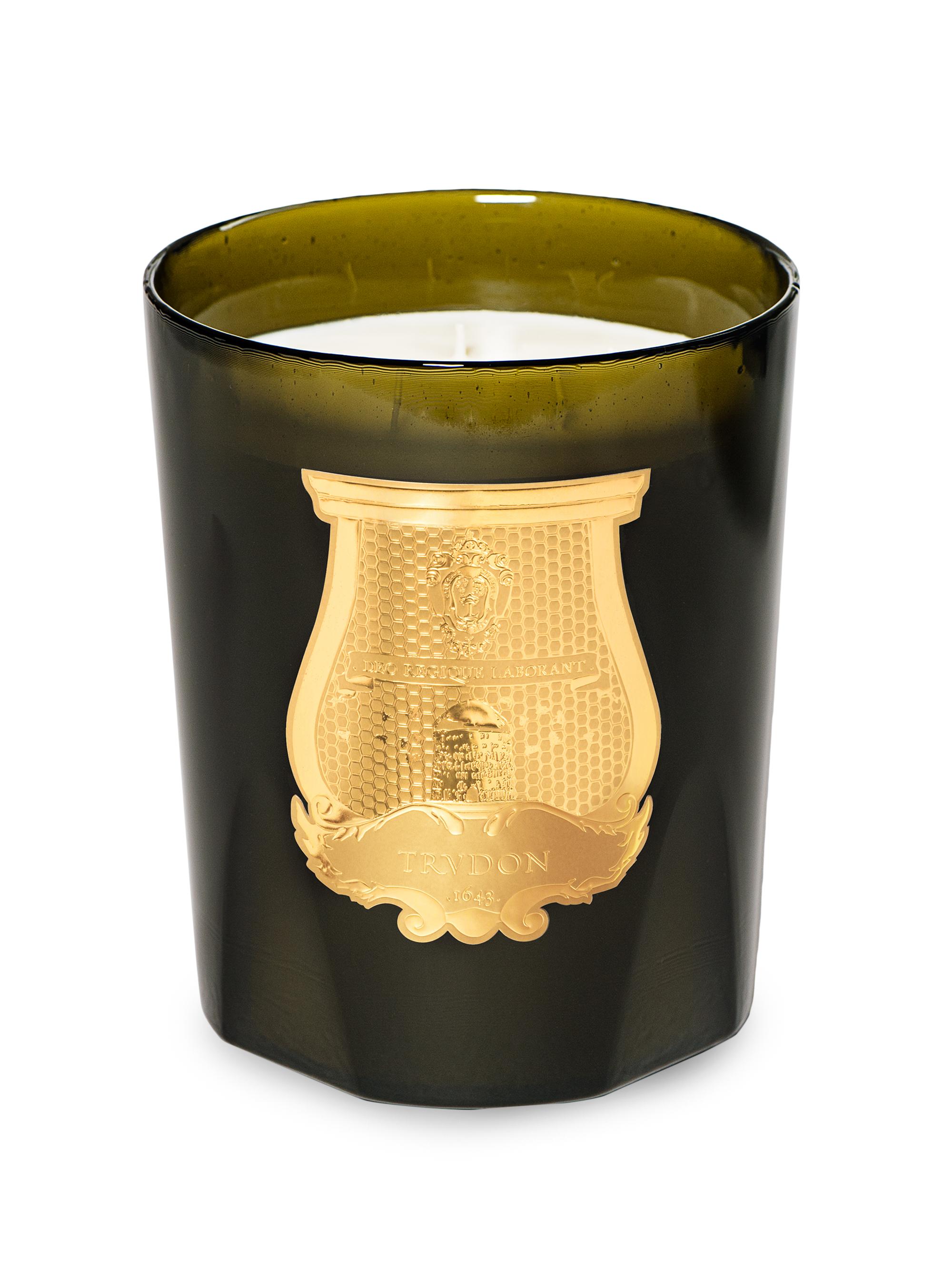 Trudon Ernesto Grand Bougie Leather & Tobacco Candle
