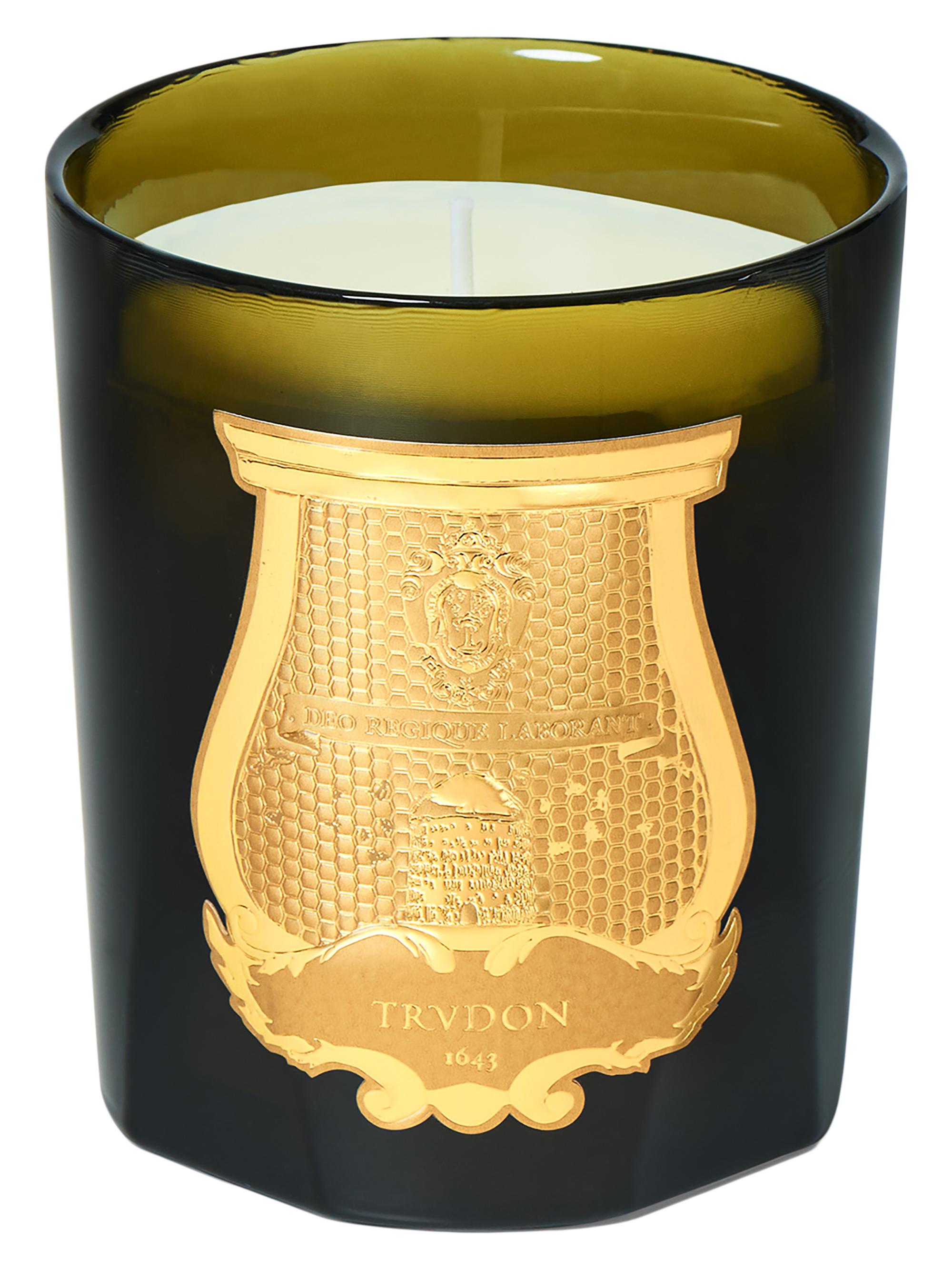 Trudon Ernesto Leather & Tobacco Classic Candle