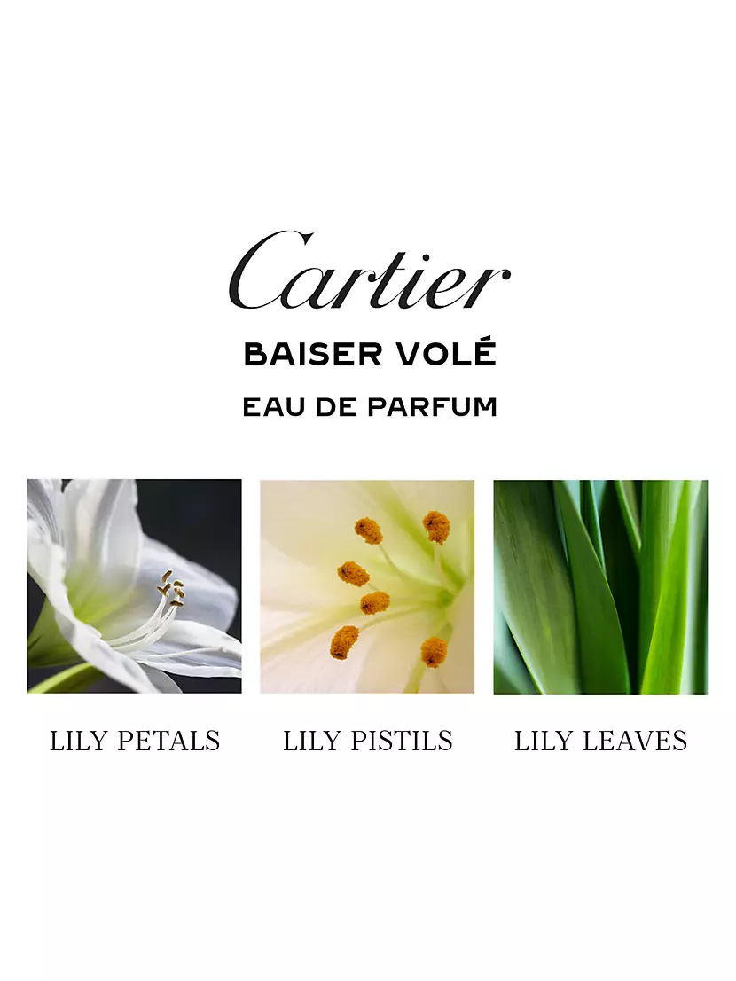CARTIER SHOPPING BAG new + Cartier Baiser Volé Eau De Parfum 9ml