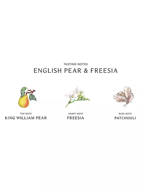 Diffuser - English Pear and Freesia - Lumond