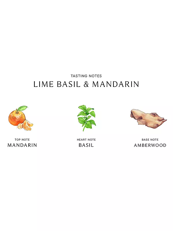 Lime Basil & Mandarin Scent Surround Diffuser