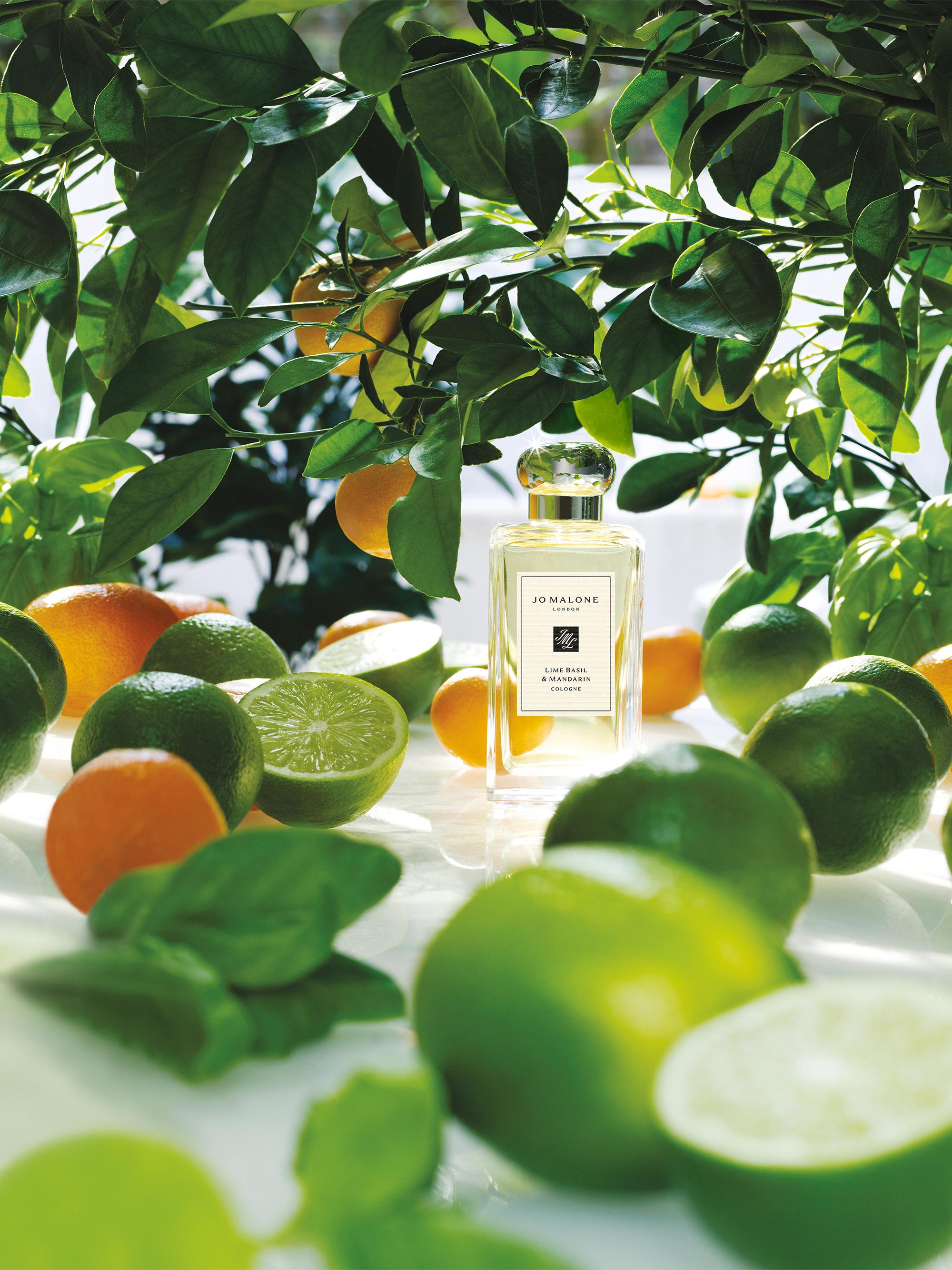 Jo Malone London Lime Basil & Mandarin Cologne | Saks Fifth