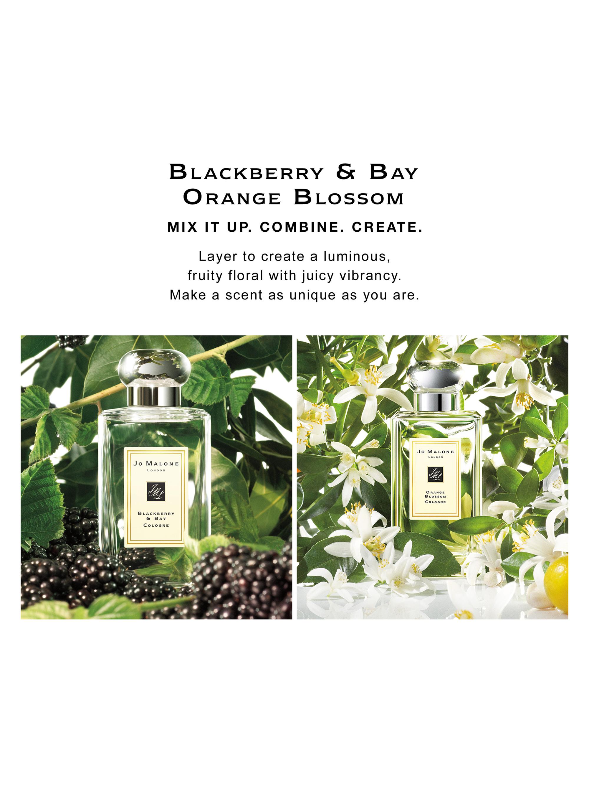 Jo Malone London Blackberry & Bay Cologne | Saks Fifth Avenue