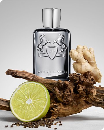 https://cdn.saksfifthavenue.com/is/image/saks/080525_MS_GROOMING_TOUT?scl=1&qlt=85