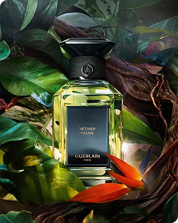 https://cdn.saksfifthavenue.com/is/image/saks/100725_BF_TOUT?scl=1&qlt=85